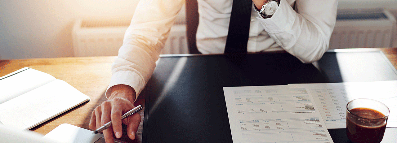 Importancia de la Administración del Portafolio de Proyectos en una organización