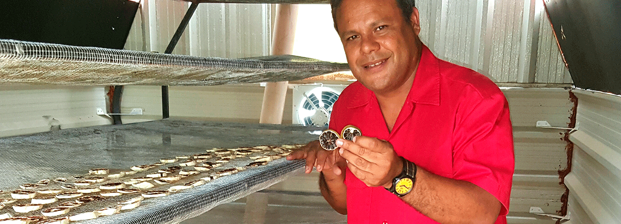 Conoce el proyecto donde Investigación e ingenierías favorecen la economía agropecuaria